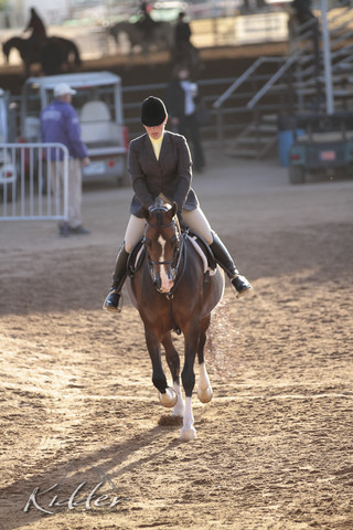 2012 Scottsdale Show | Days 1 & 2