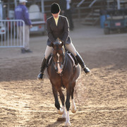 2012 Scottsdale Show | Days 1 & 2