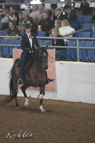 2012 Scottsdale Show | Days 1 & 2