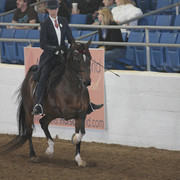2012 Scottsdale Show | Days 1 & 2