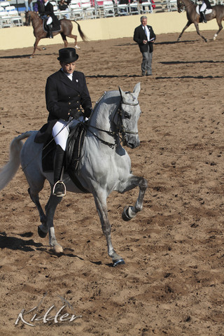 2012 Scottsdale Show | Days 1 & 2