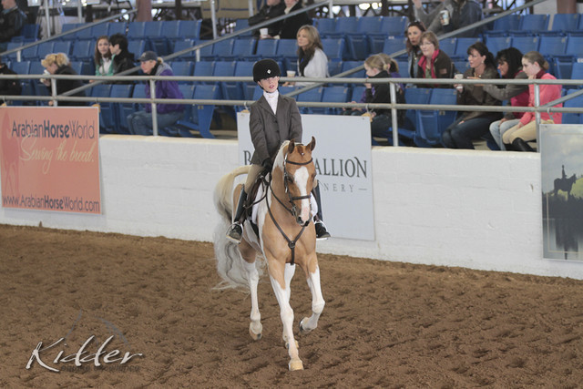 2012 Scottsdale Show | Days 1 & 2