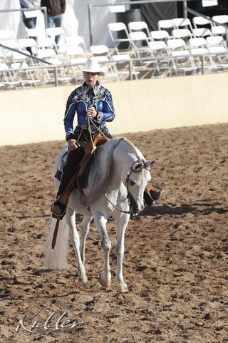 2012 Scottsdale Show | Days 1 & 2