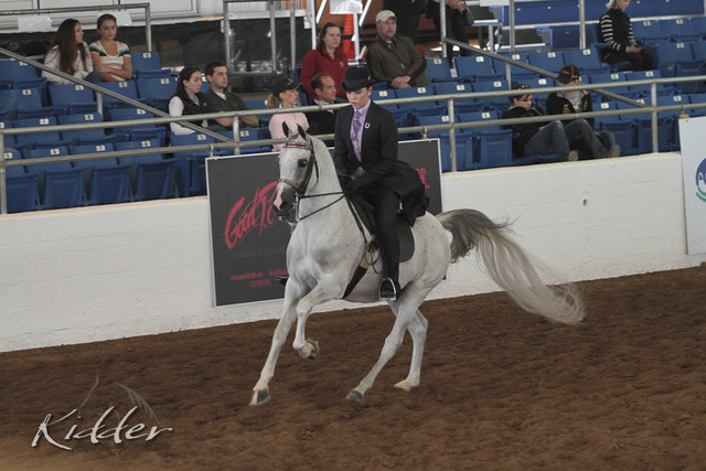 2012 Scottsdale Show | Days 1 & 2