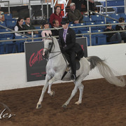 2012 Scottsdale Show | Days 1 & 2