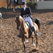 2012 Scottsdale Show | Days 1 & 2