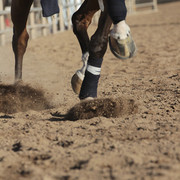 2012 Scottsdale Show | Days 1 & 2