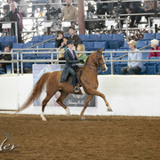 2012 Scottsdale Show | Days 1 & 2