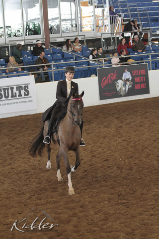 2012 Scottsdale Show | Days 1 & 2