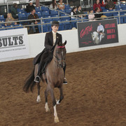 2012 Scottsdale Show | Days 1 & 2