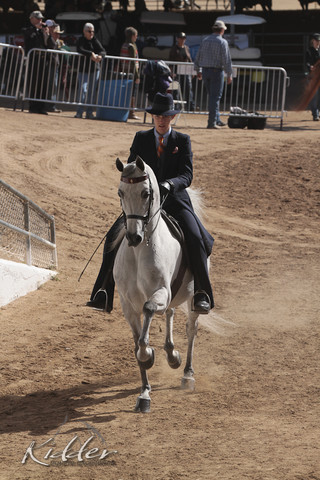 2012 Scottsdale Show | Days 1 & 2