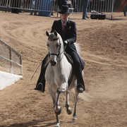 2012 Scottsdale Show | Days 1 & 2