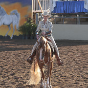 2012 Scottsdale Show | Days 1 & 2