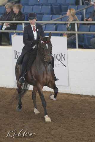 2012 Scottsdale Show | Days 1 & 2