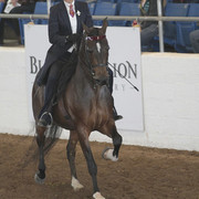 2012 Scottsdale Show | Days 1 & 2