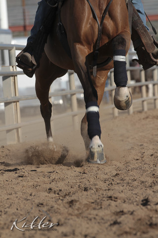 2012 Scottsdale Show | Days 1 & 2