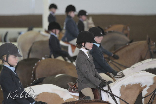 2012 Scottsdale Show | Days 1 & 2