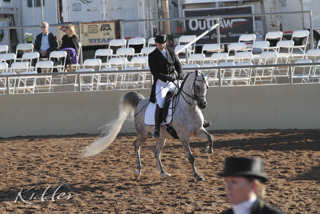 2012 Scottsdale Show | Days 1 & 2