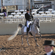 2012 Scottsdale Show | Days 1 & 2