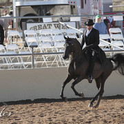 2012 Scottsdale Show | Days 1 & 2