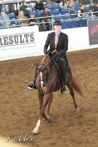 2012 Scottsdale Show | Days 1 & 2