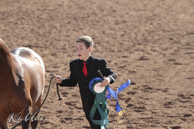 2012 Scottsdale Show | Days 1 & 2