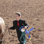 2012 Scottsdale Show | Days 1 & 2