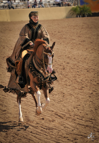 2012 Scottsdale Show Photos | Arare Photography