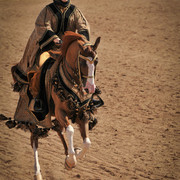 2012 Scottsdale Show Photos | Arare Photography