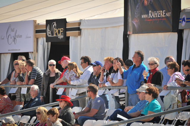 2012 Scottsdale Show Photos | Arare Photography