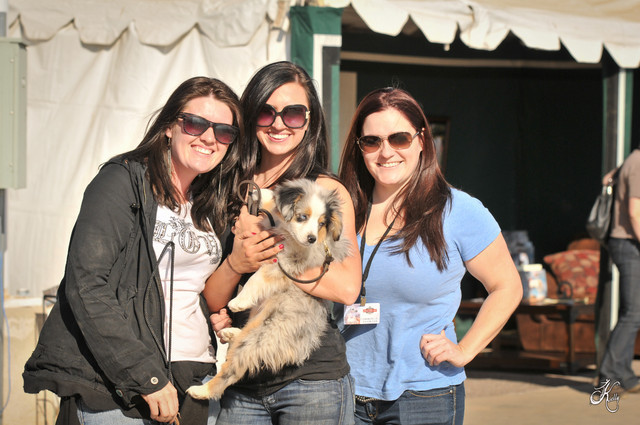 2012 Scottsdale Show Photos | Arare Photography