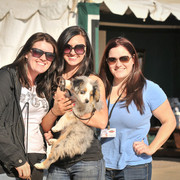 2012 Scottsdale Show Photos | Arare Photography