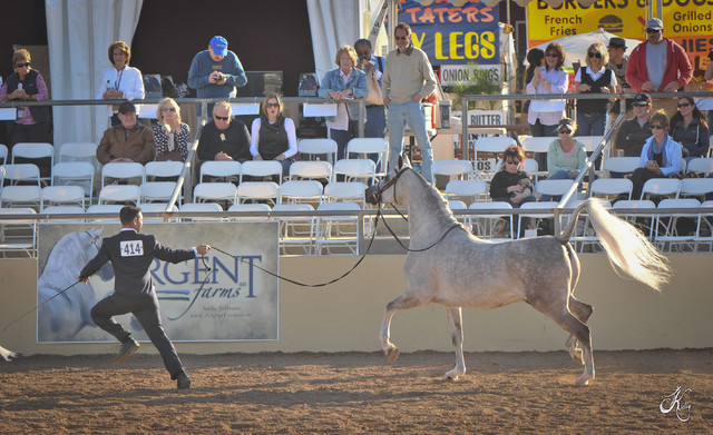 2012 Scottsdale Show Photos | Arare Photography