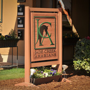 2012 Scottsdale Show Photos | Arare Photography