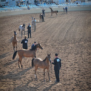 2012 Scottsdale Show Photos | Arare Photography
