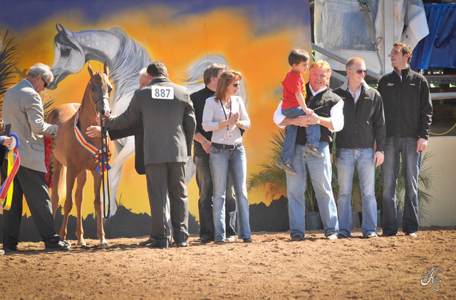 2012 Scottsdale Show Photos | Arare Photography