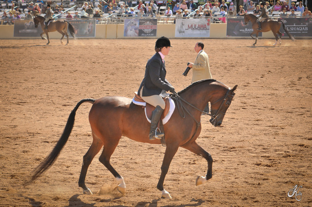 2012 Scottsdale Show Photos | Arare Photography