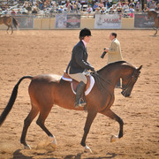 2012 Scottsdale Show Photos | Arare Photography