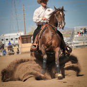 2012 Scottsdale Show Photos | Arare Photography
