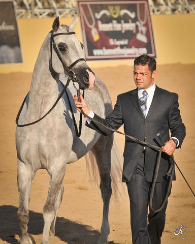 2012 Scottsdale Show Photos | Arare Photography