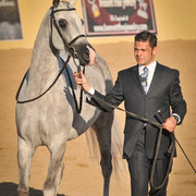 2012 Scottsdale Show Photos | Arare Photography
