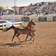 2012 Scottsdale Show Photos | Arare Photography