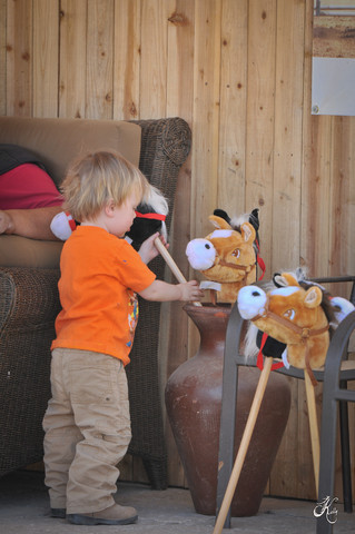 2012 Scottsdale Show Photos | Arare Photography