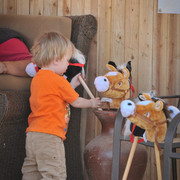 2012 Scottsdale Show Photos | Arare Photography