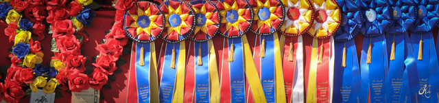 2012 Scottsdale Show Photos | Arare Photography