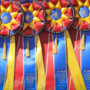 2012 Scottsdale Show Photos | Arare Photography