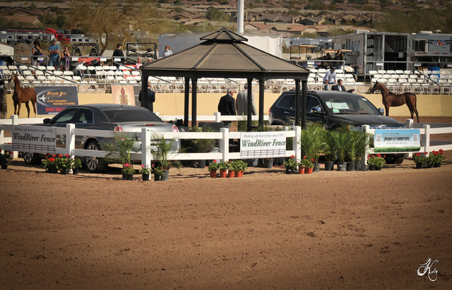 2012 Scottsdale Show Photos | Arare Photography