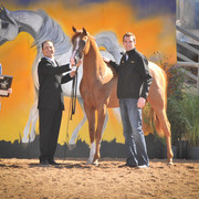 2012 Scottsdale Show Photos | Arare Photography