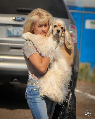 2012 Scottsdale Show Photos | Arare Photography