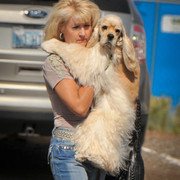 2012 Scottsdale Show Photos | Arare Photography